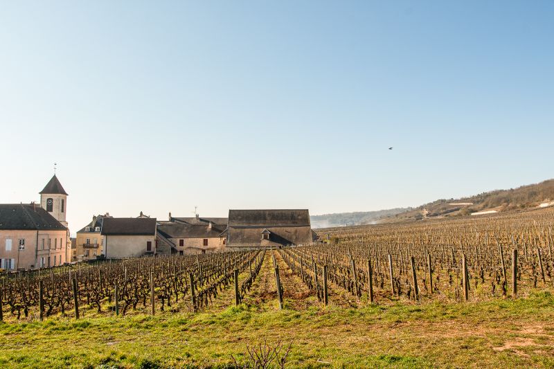 Weinregion Burgund