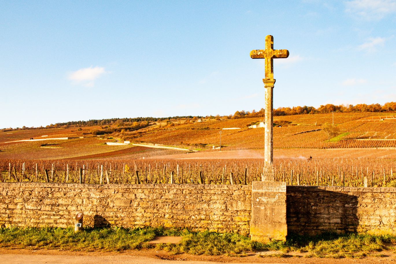 Weine Burgund