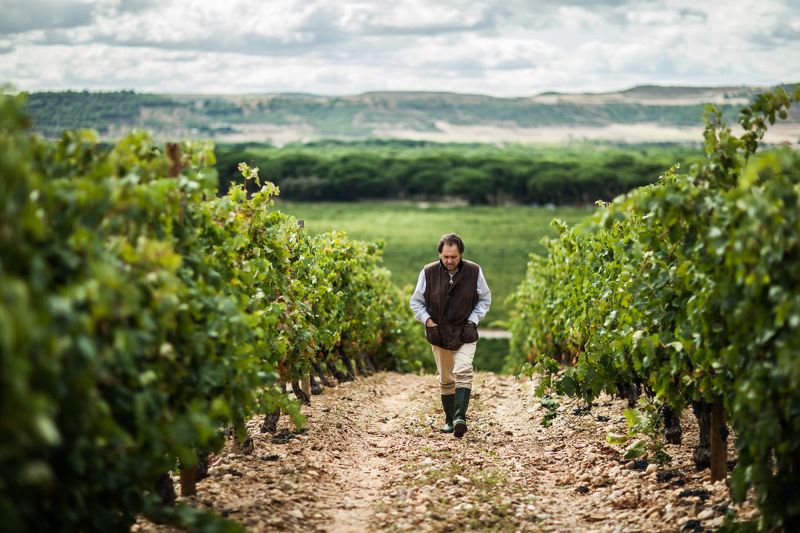 Weingut Vinea Magna