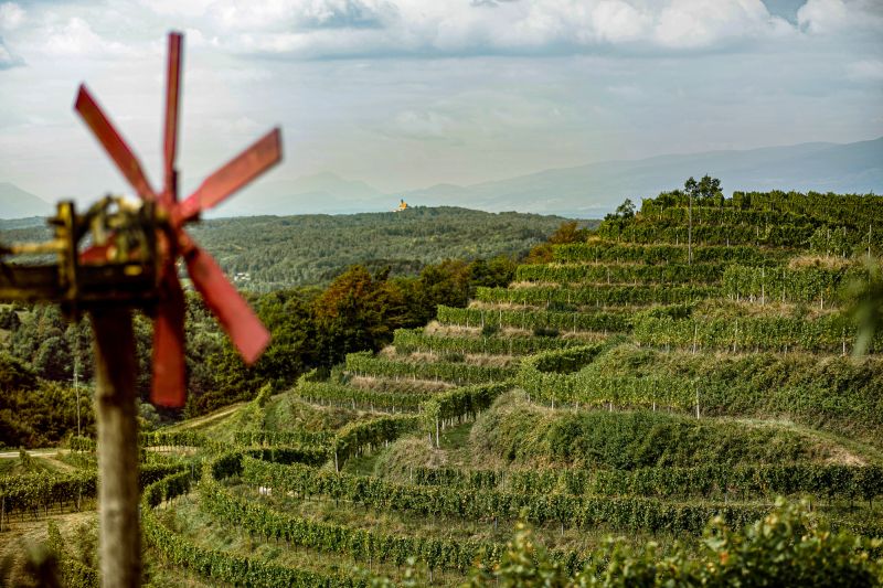 Weingut Vino Gross