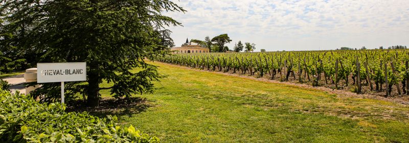 Martel AG - Château Cheval Blanc