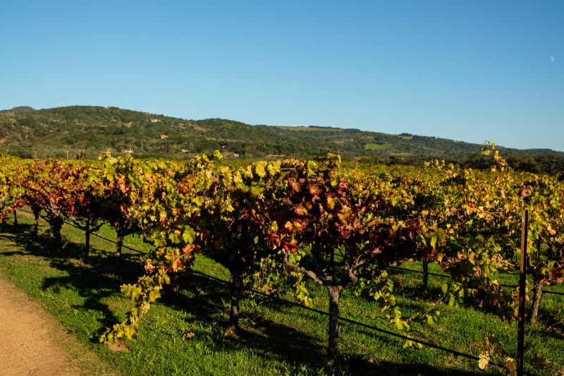 Weingut Once & Future