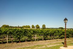 Weinregion Bordeaux