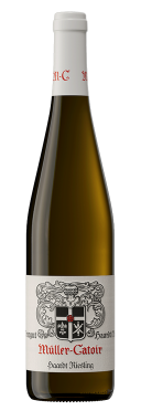 Haardt Riesling 2024 Weingut Müller-Catoir