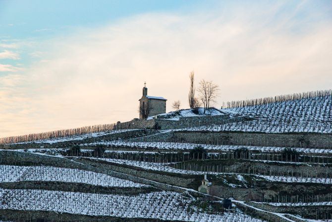 Weine aus der Region Rhône