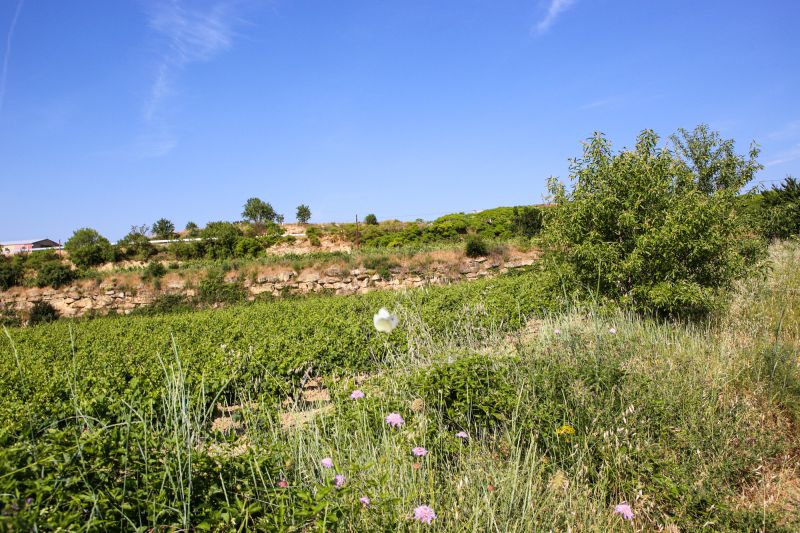Wein Rioja
