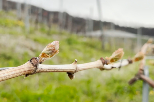 Martel AG - Martel Weinwelt.
Das Weinerlebnis.