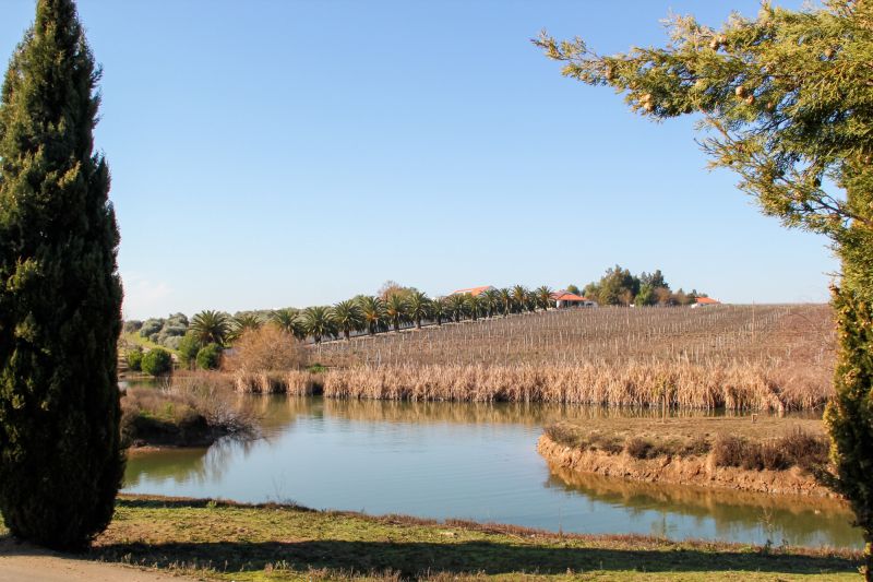 Weine aus der Region Alentejo
