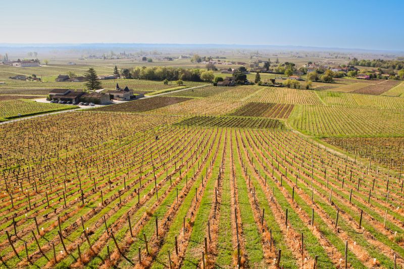 Weine Château Tertre Roteboeuf