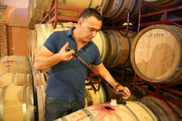 Winzer Bodegas Vallobera