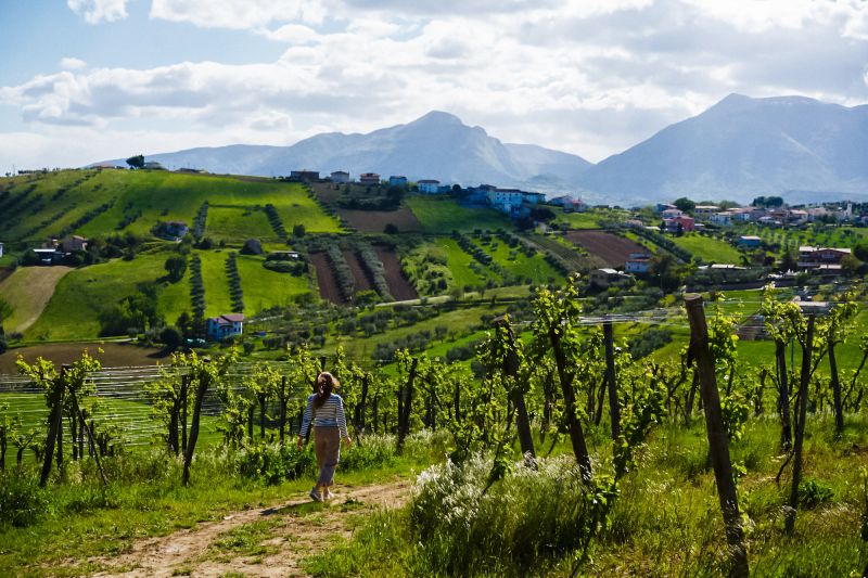 Weine aus der Region Abruzzen