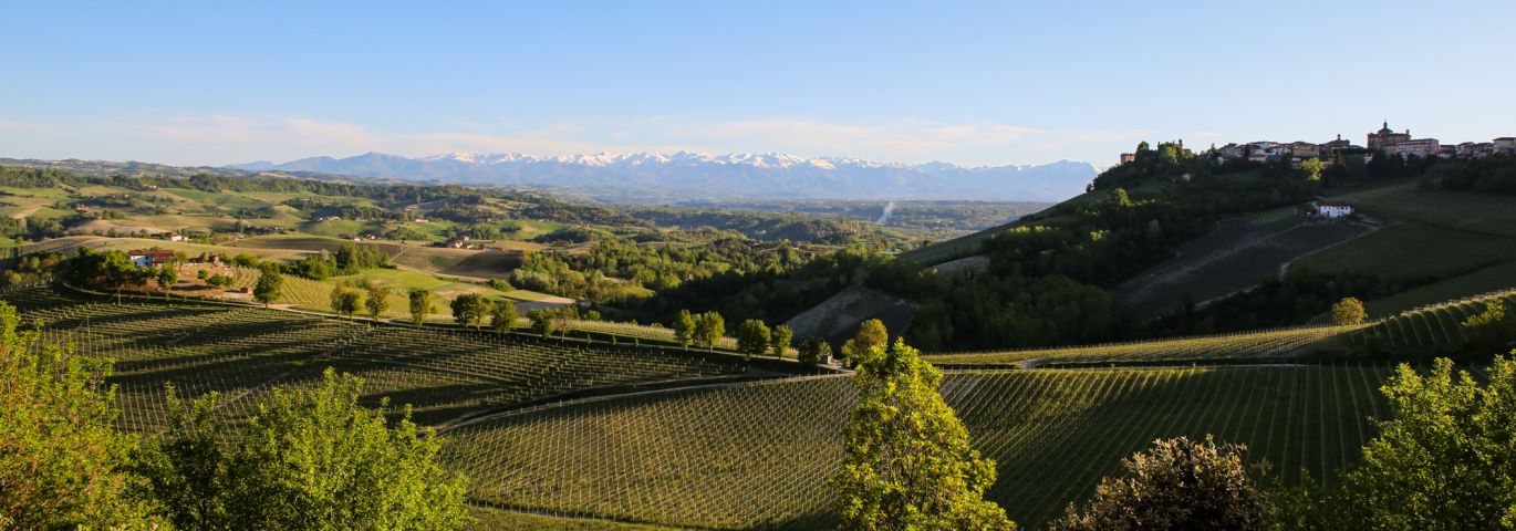 Martel AG - Azienda Agricola Cogno
