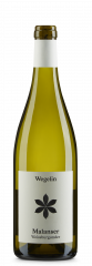 Malanser Weissburgunder