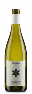 Malanser Weissburgunder 2025 Wegelin