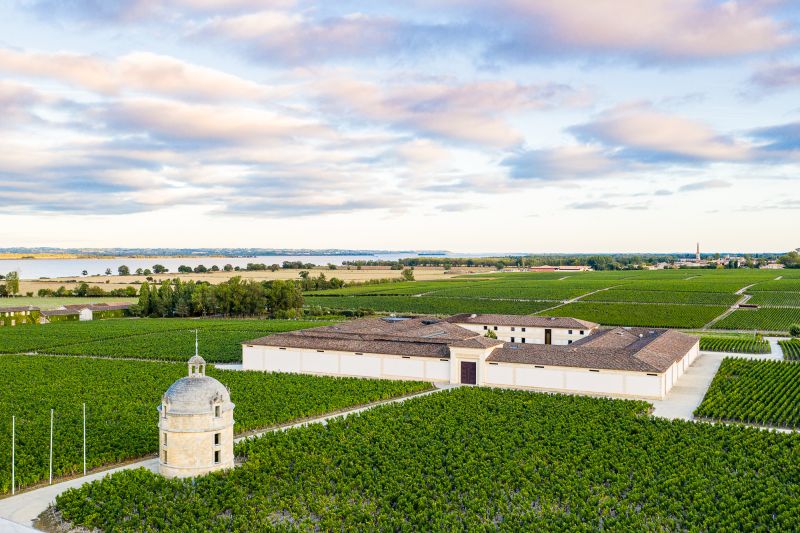 Weingut Château Latour