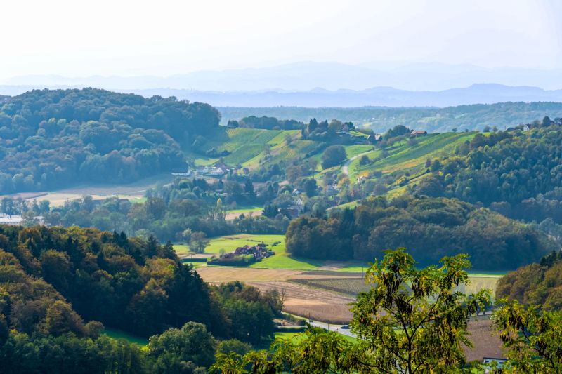 Weine aus der Region Steiermark