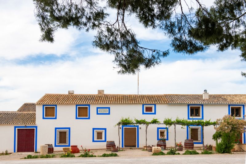 Weingut Bodegas Casa Castillo