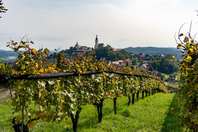 Weine Weingut Neumeister