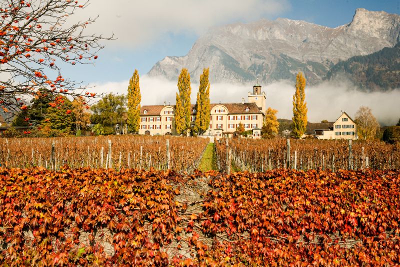 Weingut Schloss Salenegg