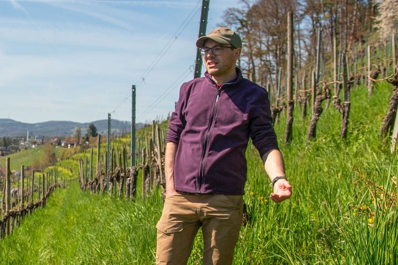 Winzer Weingut Pircher
