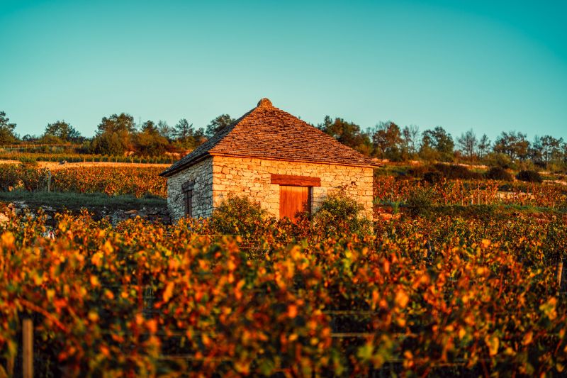Martel Vignoble des Cabottes