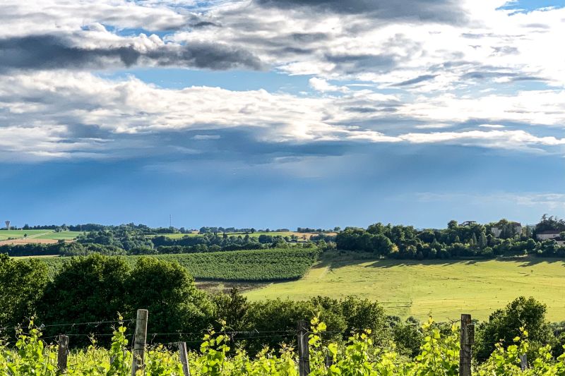 Wein Sud-Ouest