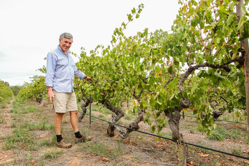 Coriole - Clark Hill Cabernet Shiraz