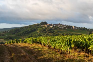 Weine aus der Region Loire