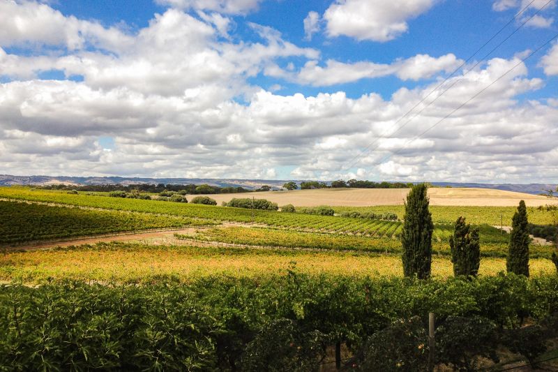 Wein Australien
