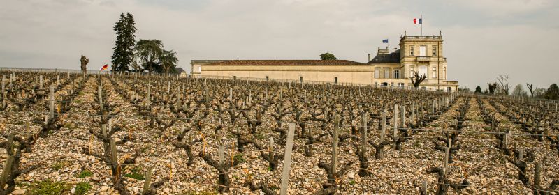 Martel AG - Château Ducru-Beaucaillou