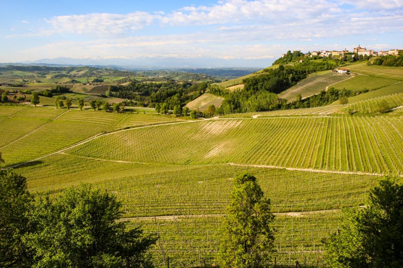 Weine Asti