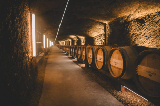 Domaine Clos Rougeard