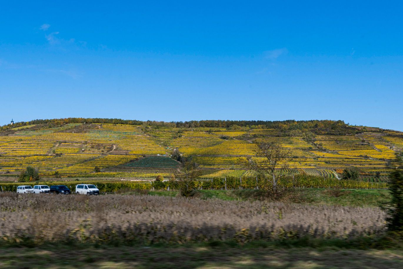 Martel Weingut Bründlmayer