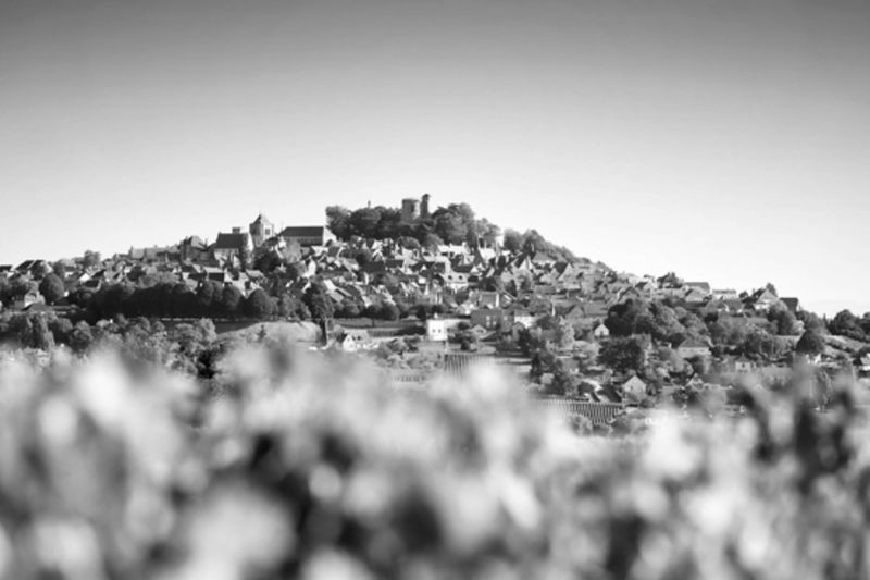 Weingut Domaine Vacheron
