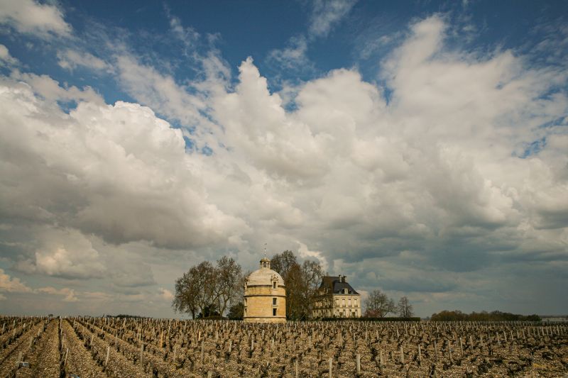 Weine Château Latour