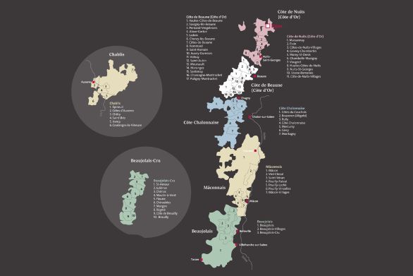 Weine Côte de Nuits