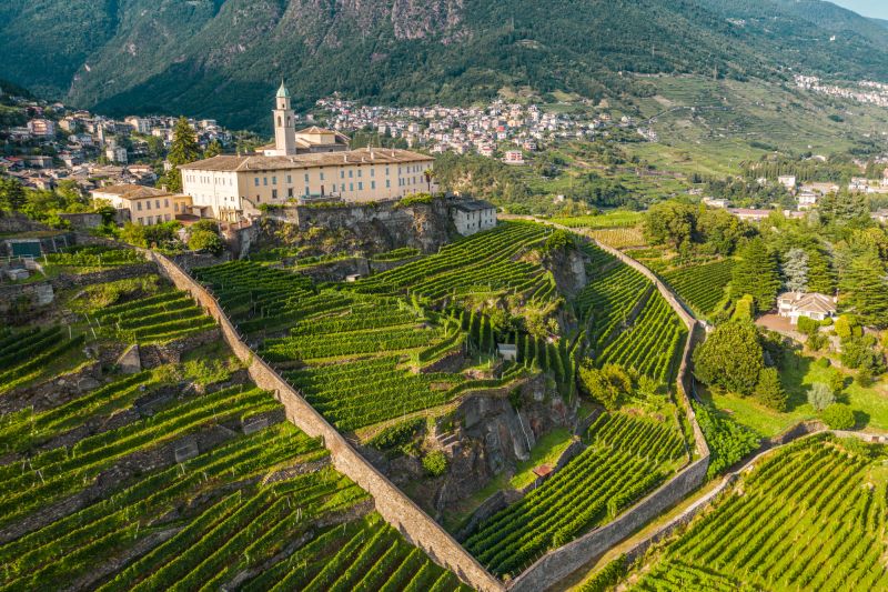 Wein Italien