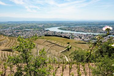 Weine Rhône
