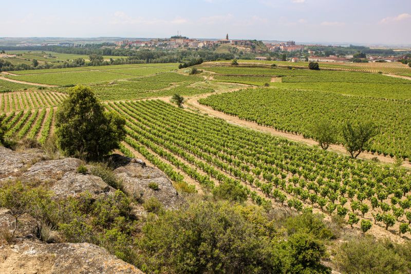 Weine Rioja Alta