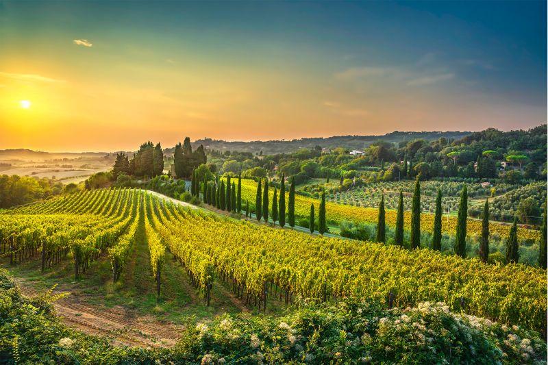 Weine Italien