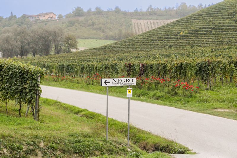 Weingut Negro Angelo&Figli