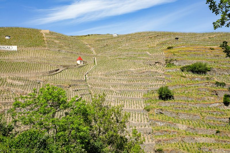 Weingut Domaine Rostaing
