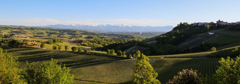Martel AG - Azienda Agricola Cogno