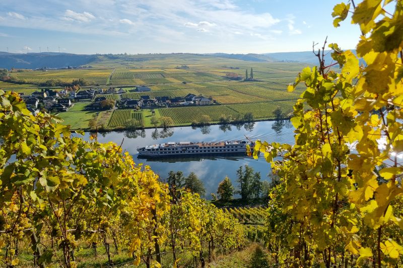 Weingut Weingut Julian Haart