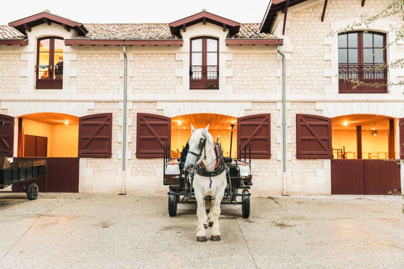 Weine Château Pontet-Canet