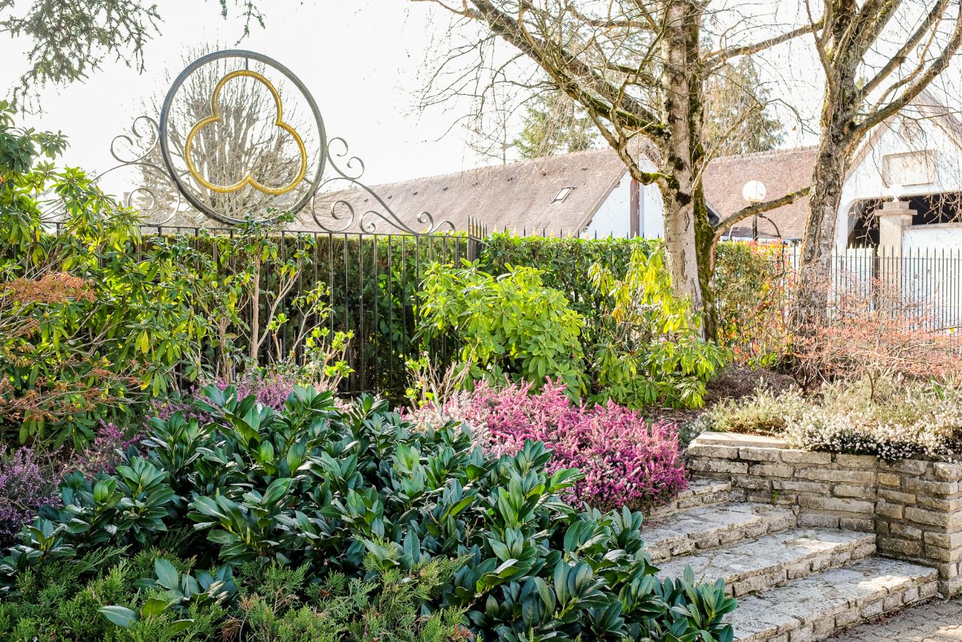 Martel Domaine William Fèvre