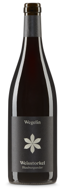 Weisstorkel Blauburgunder 2021 Wegelin