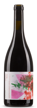 Pinot Noir Schlossberg Chlapf 2022 Weinbau Grob