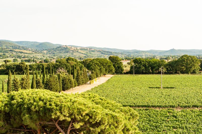 Weine Bolgheri