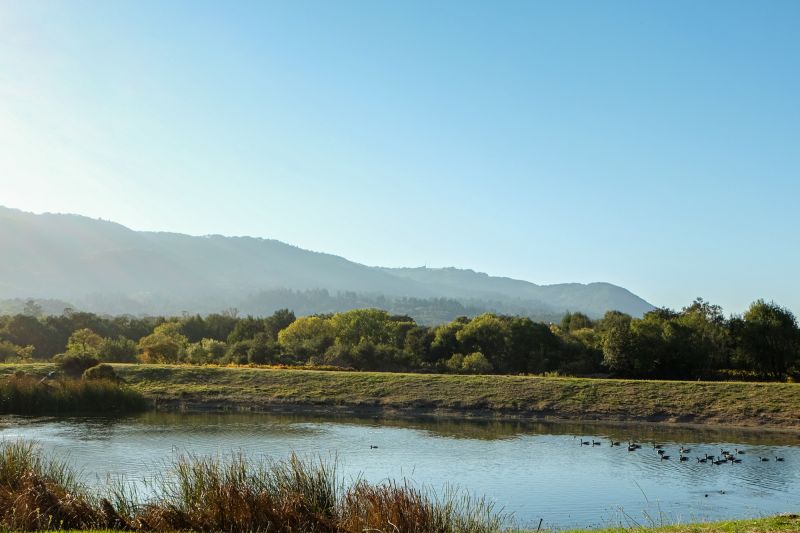 Weine Central Valley